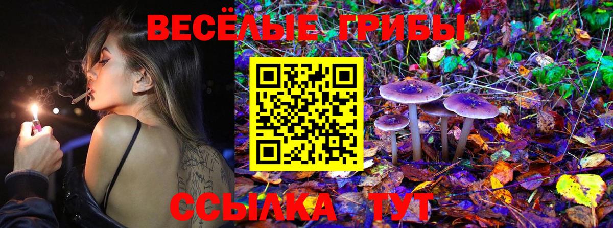 Псилоцибиновые грибы Magic Shrooms Нижнекамск