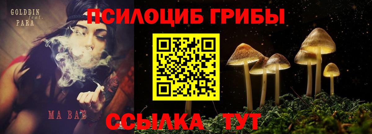 Галлюциногенные грибы мицелий  Вход с VPN  Нижнекамск 